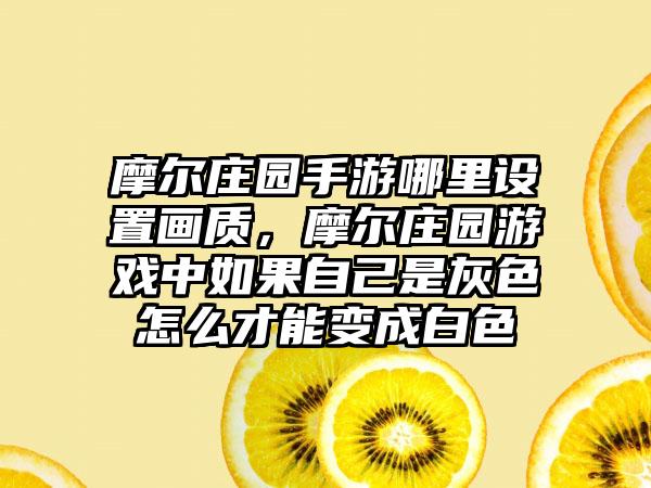 摩尔庄园手游哪里设置画质，摩尔庄园游戏中如果自己是灰色怎么才能变成白色