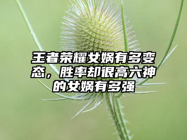 王者荣耀女娲有多变态，胜率却很高六神的女娲有多强