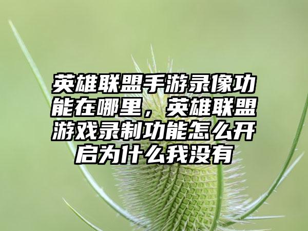 英雄联盟手游录像功能在哪里，英雄联盟游戏录制功能怎么开启为什么我没有