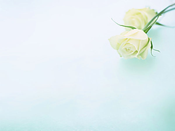 龙驹发布网,龙驹发布网：为您提供高质量的信息发布平台