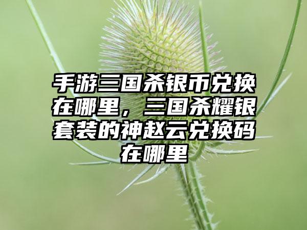 手游三国杀银币兑换在哪里，三国杀耀银套装的神赵云兑换码在哪里