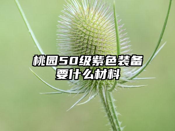 桃园50级紫色装备要什么材料