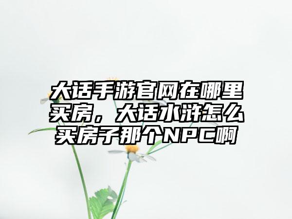 大话手游官网在哪里买房，大话水浒怎么买房子那个NPC啊