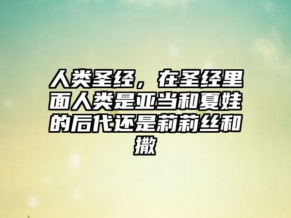 人类圣经，在圣经里面人类是亚当和夏娃的后代还是莉莉丝和撒