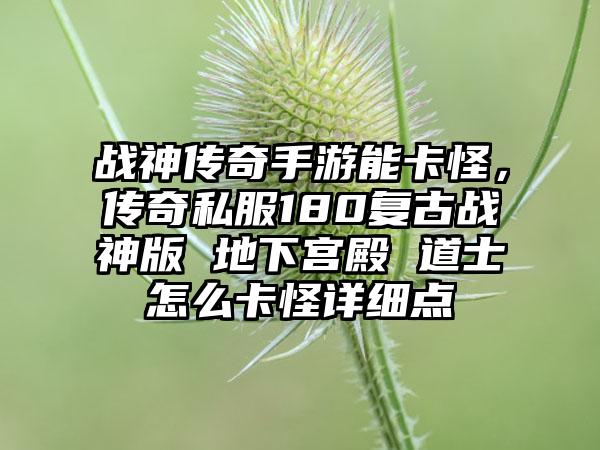 战神传奇手游能卡怪,传奇私服180复古战神版 地下宫殿 道士怎么卡怪详细点