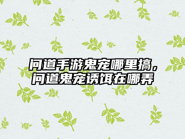 问道手游鬼宠哪里搞，问道鬼宠诱饵在哪弄