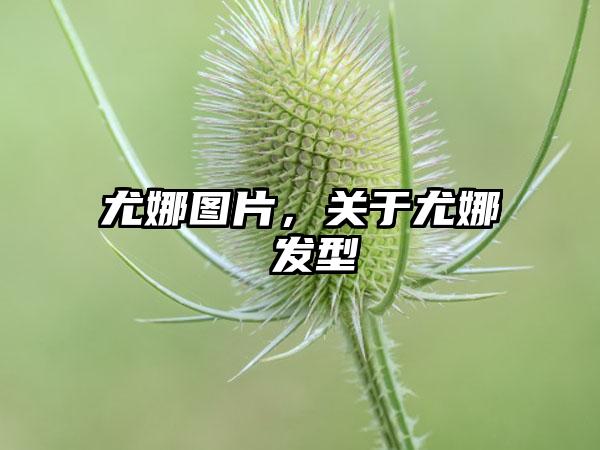 尤娜图片，关于尤娜 发型