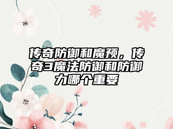 传奇防御和魔预,传奇3魔法防御和防御力哪个重要