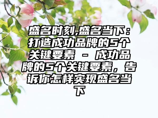 盛名时刻,盛名当下：打造成功品牌的5个关键要素 - 成功品牌的5个关键要素，告诉你怎样实现盛名当下