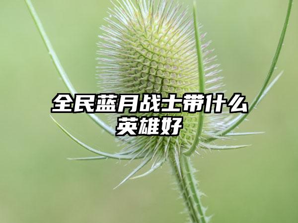 全民蓝月战士带什么英雄好