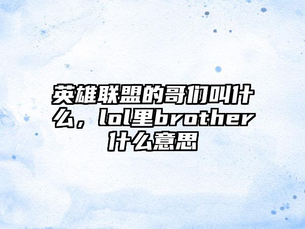 英雄联盟的哥们叫什么，lol里brother什么意思