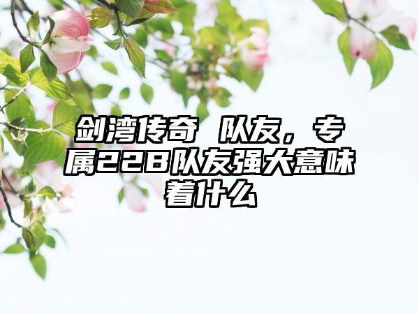 剑湾传奇 队友,专属22B队友强大意味着什么