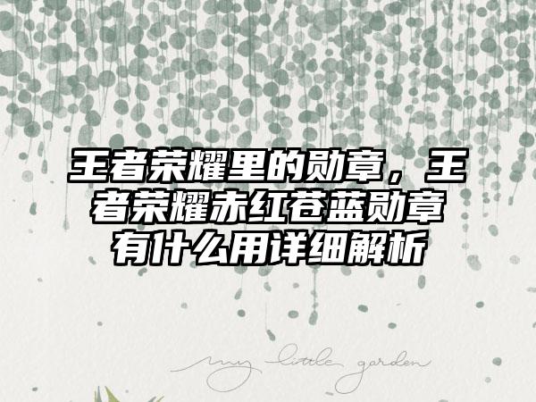 王者荣耀里的勋章，王者荣耀赤红苍蓝勋章有什么用详细解析