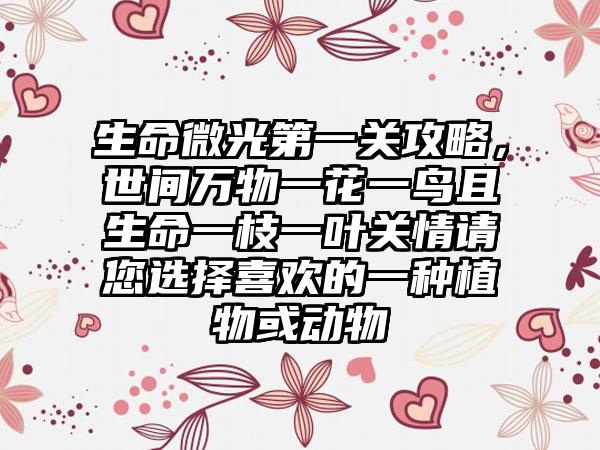 生命微光第一关攻略，世间万物一花一鸟且生命一枝一叶关情请您选择喜欢的一种植物或动物