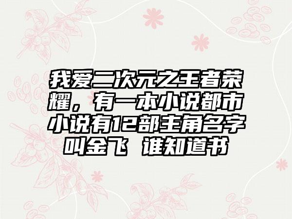 我爱二次元之王者荣耀，有一本小说都市小说有12部主角名字叫金飞 谁知道书