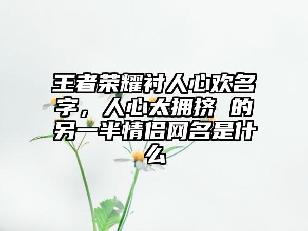 王者荣耀衬人心欢名字，人心太拥挤 的另一半情侣网名是什么