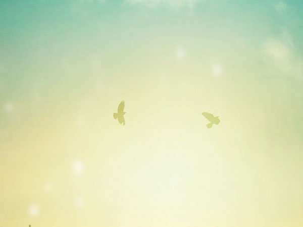 下载火影忍者究极风暴4（究极风暴4免费下载手游）