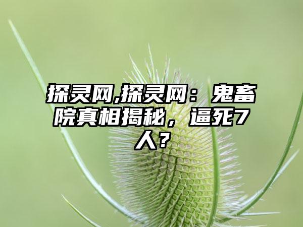 探灵网,探灵网：鬼畜院真相揭秘，逼死7人？