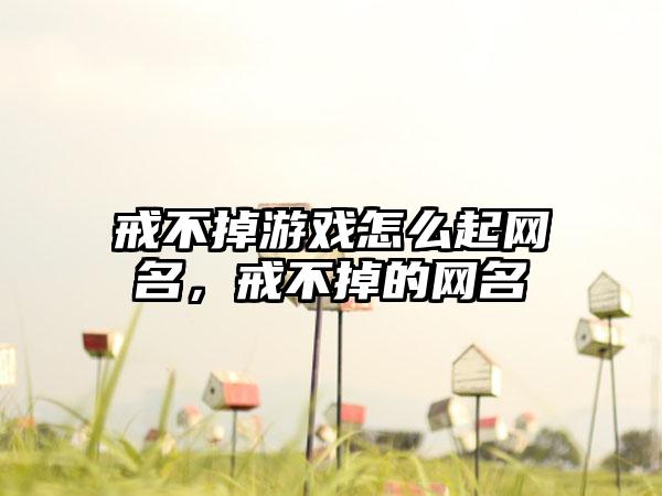 戒不掉游戏怎么起网名,戒不掉的网名