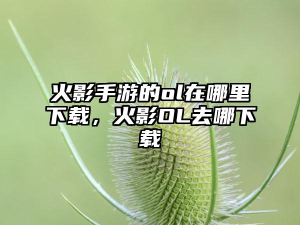 火影手游的ol在哪里下载，火影OL去哪下载