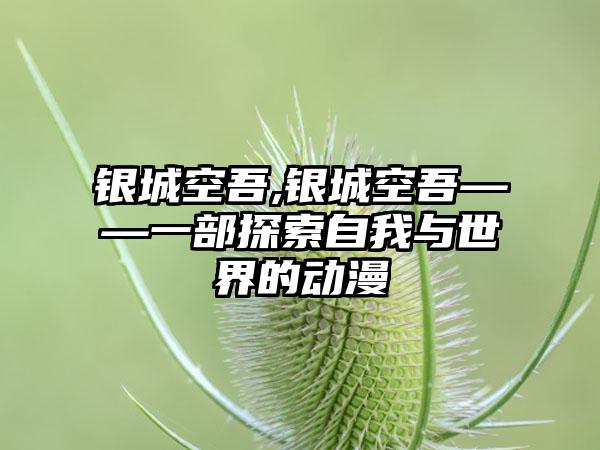 银城空吾,银城空吾——一部探索自我与世界的动漫