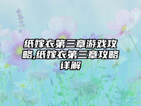 纸嫁衣第三章游戏攻略,纸嫁衣第三章攻略详解