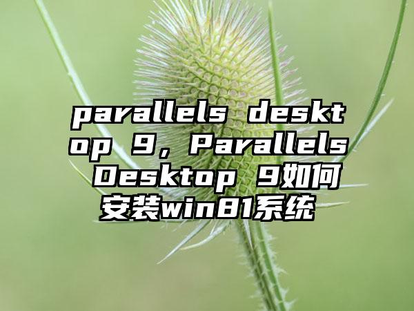 parallels desktop 9，Parallels Desktop 9如何安装win81系统