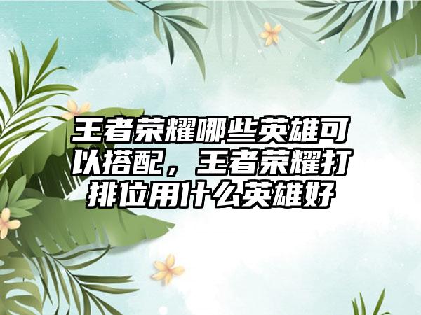 王者荣耀哪些英雄可以搭配，王者荣耀打排位用什么英雄好