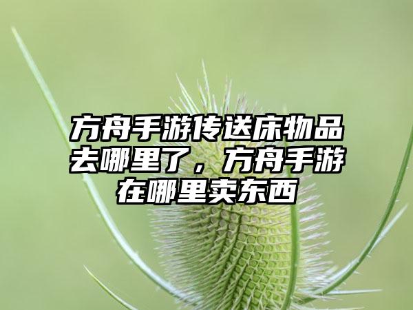 方舟手游传送床物品去哪里了，方舟手游在哪里卖东西