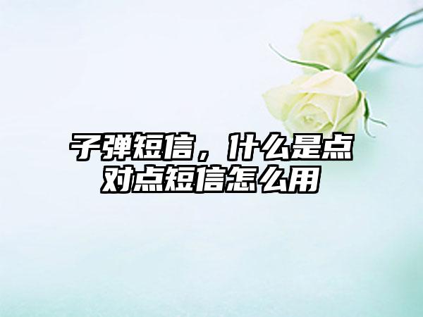 子弹短信，什么是点对点短信怎么用