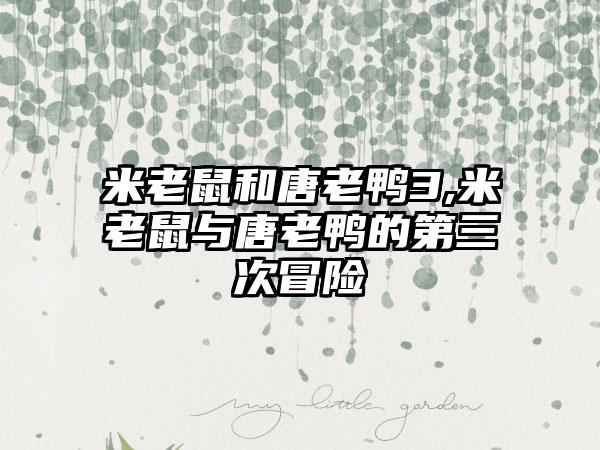 米老鼠和唐老鸭3,米老鼠与唐老鸭的第三次冒险