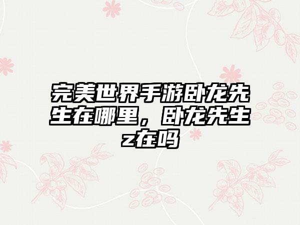 完美世界手游卧龙先生在哪里，卧龙先生z在吗
