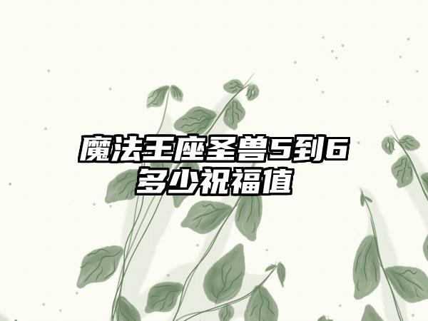 魔法王座圣兽5到6多少祝福值