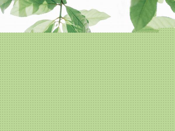 qq游戏怎么防踢,QQ游戏中如何设置不被人踢