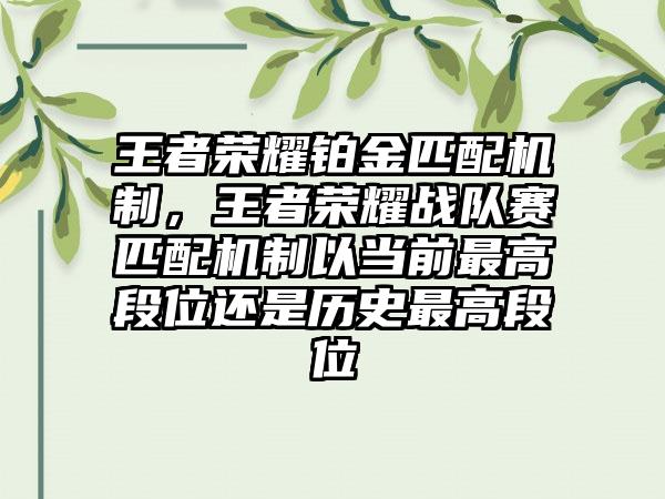 王者荣耀铂金匹配机制，王者荣耀战队赛匹配机制以当前最高段位还是历史最高段位