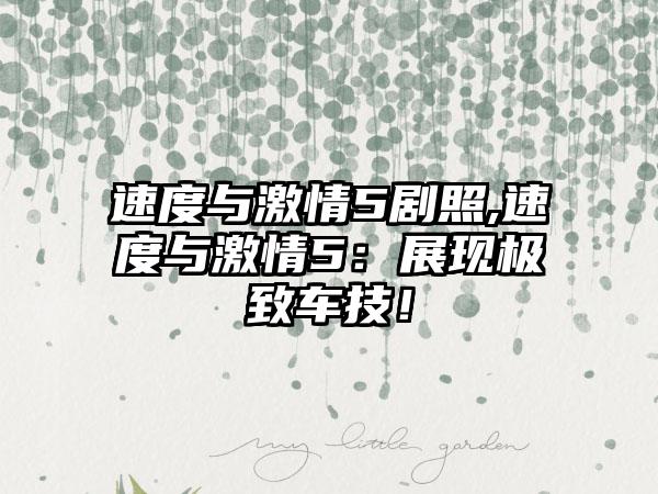 速度与激情5剧照,速度与激情5：展现极致车技！