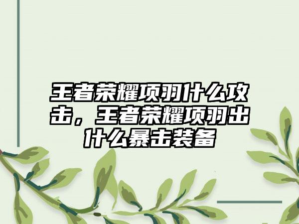 王者荣耀项羽什么攻击，王者荣耀项羽出什么暴击装备