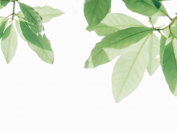 死从天降成就,突如其来的成功：死从天降