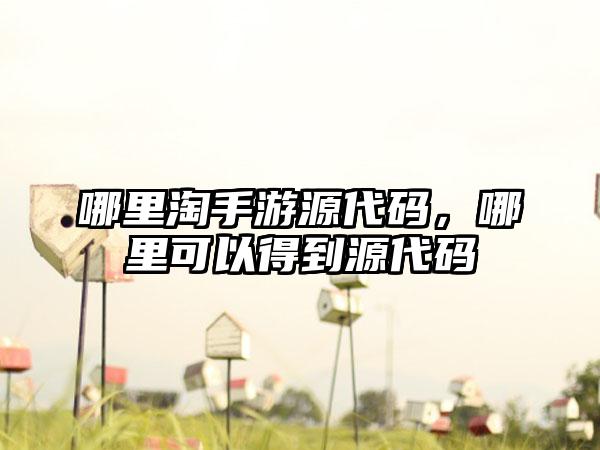 哪里淘手游源代码，哪里可以得到源代码