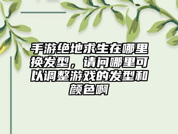 手游绝地求生在哪里换发型，请问哪里可以调整游戏的发型和颜色啊