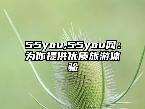 55you,55you网：为你提供优质旅游体验
