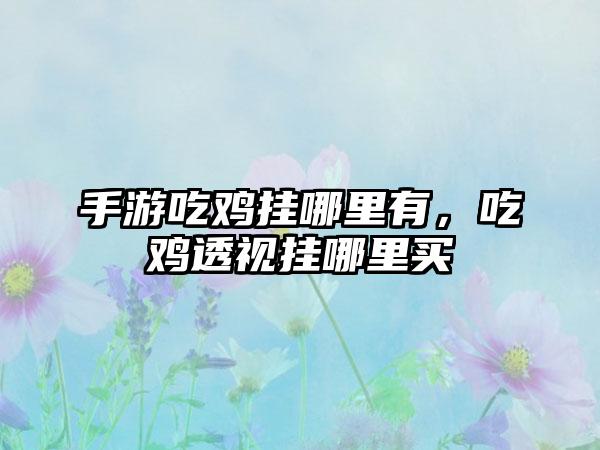 手游吃鸡挂哪里有，吃鸡透视挂哪里买