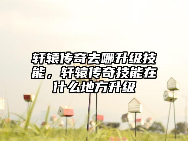 轩辕传奇去哪升级技能，轩辕传奇技能在什么地方升级