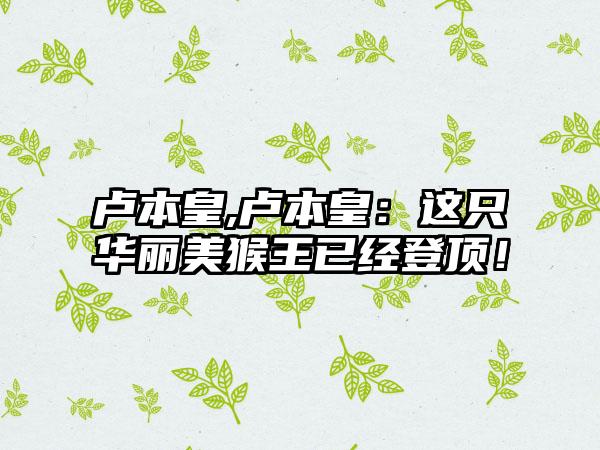 卢本皇,卢本皇:这只华丽美猴王已经登顶!