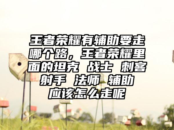 王者荣耀有辅助要走哪个路，王者荣耀里面的坦克 战士 刺客 射手 法师 辅助 应该怎么走呢