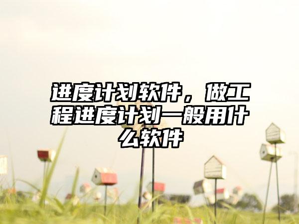 进度计划软件，做工程进度计划一般用什么软件