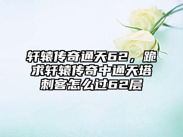 轩辕传奇通天62，跪求轩辕传奇中通天塔刺客怎么过62层