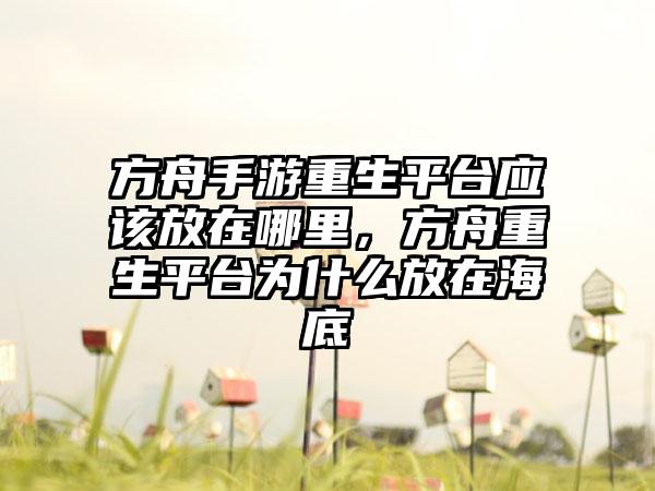 方舟手游重生平台应该放在哪里，方舟重生平台为什么放在海底