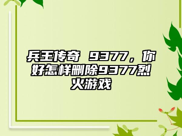 兵王传奇 9377,你好怎样删除9377烈火游戏