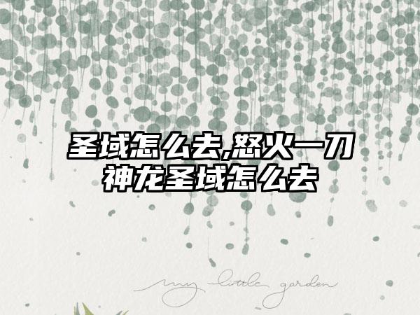 圣域怎么去,怒火一刀神龙圣域怎么去